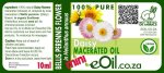 Daisy Flower Macerated Oil Organic - 100 Ml - 10 Ml