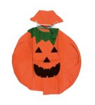 Kids Pumpkin Felt Costume