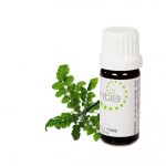 Escentia Frankincense Carteri Essential Oil - 11ML