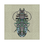 Soldier Beetle Art Print - 100CM X 100CM Fine Art Print