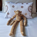 Delicious Monsters Scatter Cushion Spot The Cubs
