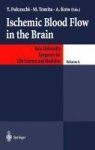 Ischemic Blood Flow In The Brain Hardcover 2001