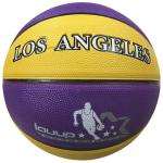 Size 7 Los Angeles Basketball