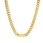 DESTINY Sage Titanium Necklace