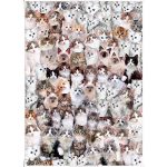 4AKID Cat World Jigsaw Puzzle - 1000 Piece