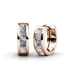 DESTINY Abby Earrings With Swarovski Crystals