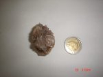 Fairy Quartz Spirit Quartz SPE387