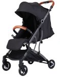 Traveller Lx Stroller