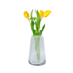 Lily Vase 19CM H X 12CM W