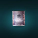 Super Foods - Lion's Mane Mushroom 90 Capsules