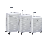 DELSEY Lagos 3 Piece Set -silver - Ys Travel Bags