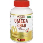 Wellvita Omega 3 6&9 1000MG 90 Softgels 120S