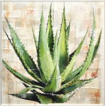 Agave Cactus Wall Canvas Artwork Print 970 X 970