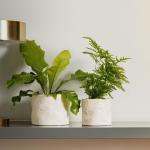 Shaped Planter Organic Natural Ivory - Medium 18.2X14.5CM