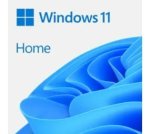 Microsoft Windows 11 Home Esd