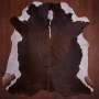 Aa Grade Nguni Hide 588 Brown/white L - Large / Brown/white / Panelled