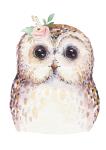 Floral Owl - Acrylic Wall Print - 600MM X 600MM