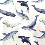 Whales Shower Curtain Fabric