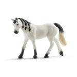 Horse Club - Arabian Mare