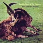 Eyes Rind As If Beggars Cd