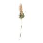Autumn Stem