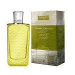 The Merchant Of Venice Colonia Veneziana