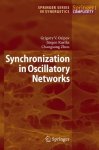 Synchronization In Oscillatory Networks Springer Series In Synergetics