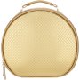 Clicks Hard Vanity Bag Gold