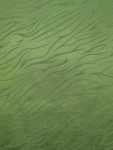 Taffeta Flocked Clearance