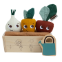 Garden Of Adventures Garden Kit