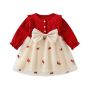 Strawberries Embroidered Mesh Puff Dress For Girls