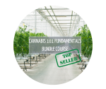 Cannabis 101 Fundamentals Bundle Course - 9TH May 2024