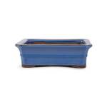 Assorted Glazed Bonsai Pots 10" - Light Blue Banded Rectangle 25 X 19 X 7.5CM