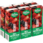 Rhodes Berry 100% Fruit Juice Blend 6 X 200ML