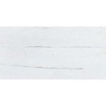Artist Oil Paint - Zinc White 37ML