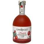Ginologist Summer Cup 750ML - 1