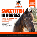 Sweet Itch In Horses – Ahfs Educational Ebook