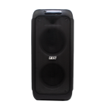 Umlilo 8"DOUBLE Portable Battery Speaker FTS-187