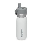 Stanley Hammertone Iceflow Flip Straw Tumbler 0.65L Assorted Colours - Polar