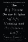 The Big Picture - On The Origins Of Life Meaning And The Universe Itself Paperback