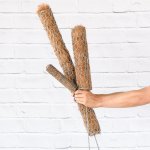 Moss Pole - Thin & Tall 4CM X 78CM With 8 Trellis Clips 2CM
