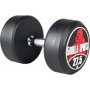 Fixed Dumbbell 27.5KG