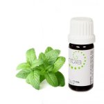 Escentia Peppermint Pure Essential Oil - 10ML