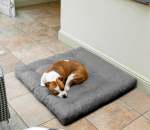 Snugpaws Dog Bed - 120CM