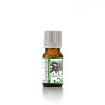 Tonka Bean ABSOLUTE OIL