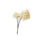 - Crown Cream - Pack Of 12 Stems - 81CM