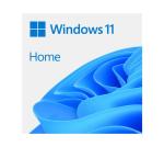 Windows 11 Home DVD Single User License