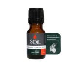 Essential Oil Pine 10ML