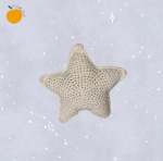 Sweet Dreams Star - White Soft Toy For Baby Play Gym
