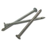 Ifasten Nail Clout Semi 32X2MM 75G Pp Livestainable